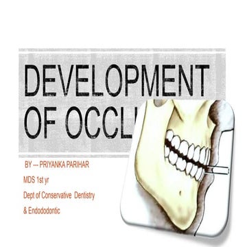 Development of occlusion 