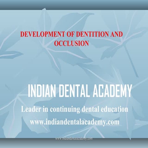 Development of occlusion 2 /certified fixed orthodontic courses by Indian den...