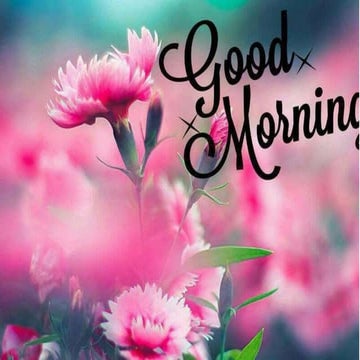 Development of palate