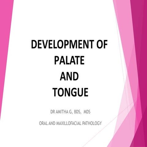 Development of Palate and Tongue PPT