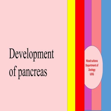 Development of pancreas from pices to mammals. 