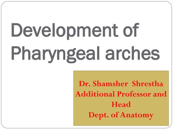 Pharyngeal arches & pouches | PPTX | Ear, Nose and Throat Conditions ...