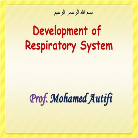 Development of respiratory system