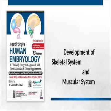 Development of skeletal and muscular system and skull bones.pptx