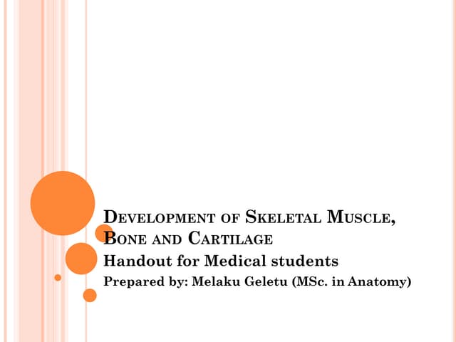 Embryology of skeletal system | PPT