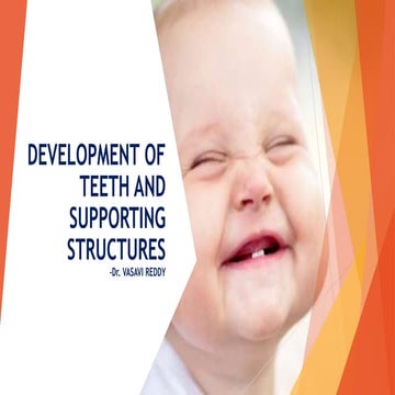 Development of teeth and supporting structures ppt Dr. Vasavi Reddy