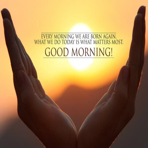 Development of the face