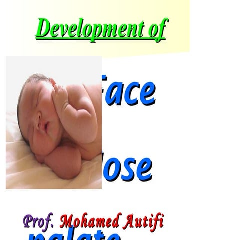 Development of the face, nose, palate