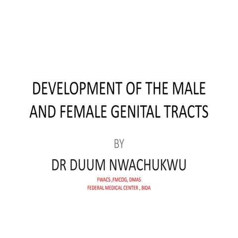 Development of the male and female genital tracts