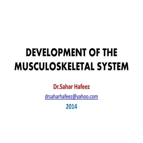 Development of the musculoskeletal system