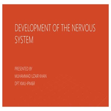 Development of the nervous system