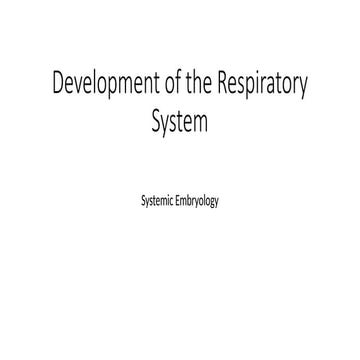 Development of the System respiratory embryo | PDF