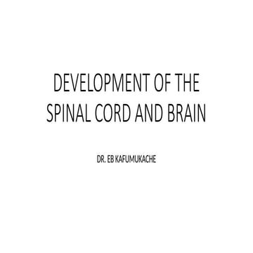 DEVELOPMENT OF THE SPINAL CORD AND BRAIN.pptx