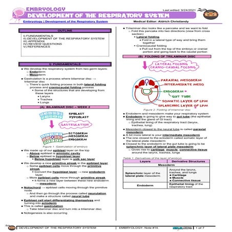 Development of the System respiratory embryo | PDF