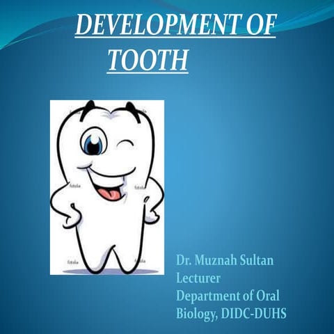 Developmentoftooth 141116053808-conversion-gate02