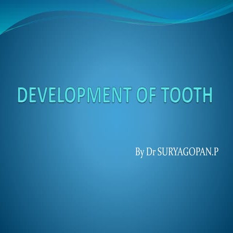 Development of tooth
