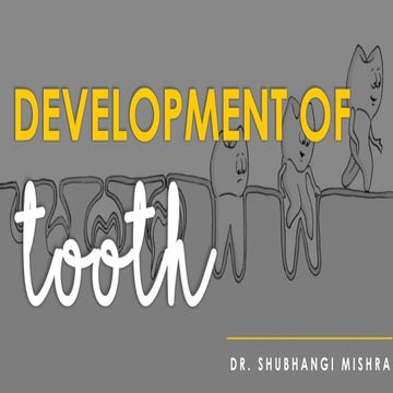 Development of tooth