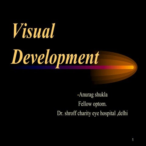 Development of vision