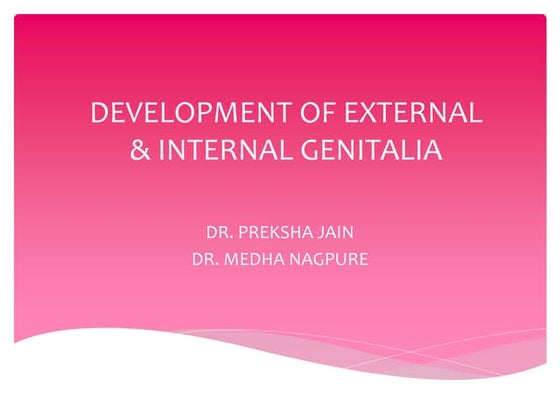 ovary - Anatomy, histology and embryological development of ovary | PPT
