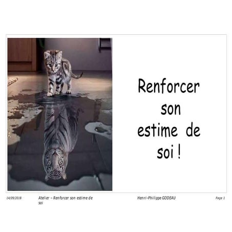 DEVHOM-Renforcer-lestime-de-soi (1).pptx