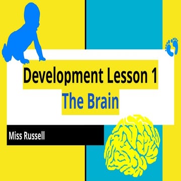 Dev_ How do brain develop_ CLR 2018.pptx