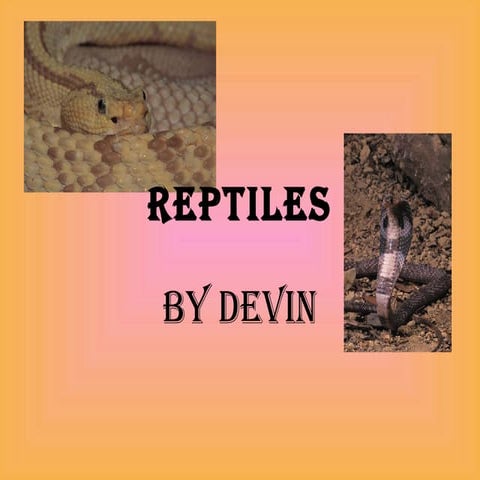 Reptiles 