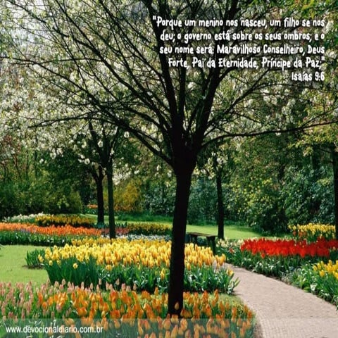 Devocional diario (1)