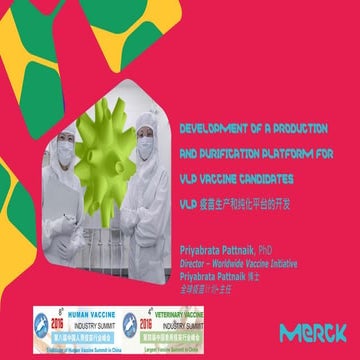 Development of a production and purification platform for VLP vaccine candidates