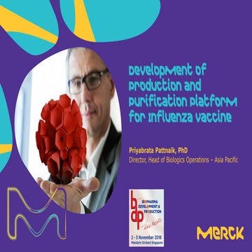 Development of Production and Purification Platformform for Influenza Vaccine