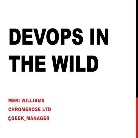 DevOps in the Wild