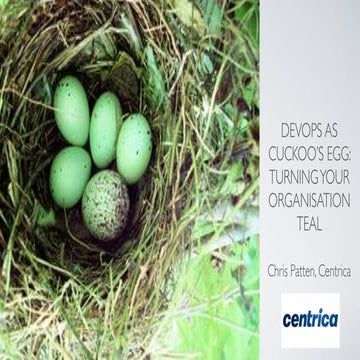 DevOps as cuckoo's egg: turning your organisation Teal