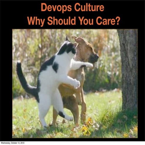 Devops culturelt