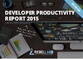 Developer Productivity Report 2015:...