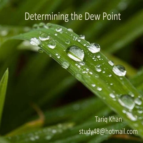 Dewpoint (Tariq)