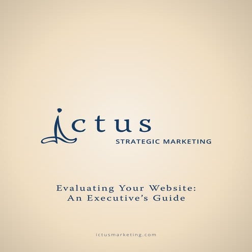 Website Evaluation - Executive Guide