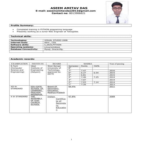 CV_ASEEM[1]