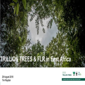 Trillion Trees & FLR in East Africa