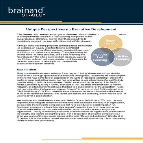 Unique Perspectives on Executive Development
