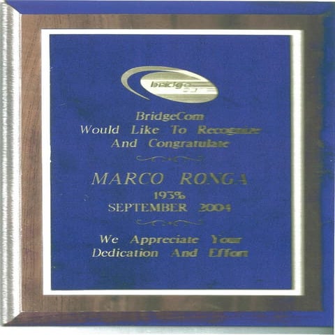 2004 BridgeCom Award 193%