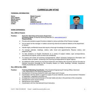 CV of Madah Hussain