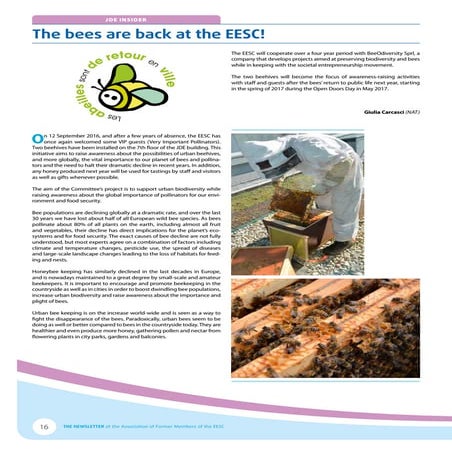 Little-Book-of-Bees-for-web | PDF