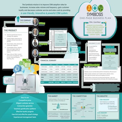 Symbiosis 1 Page Business Plan