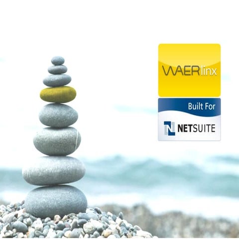 Company Presentation For NetSuite Demos v2