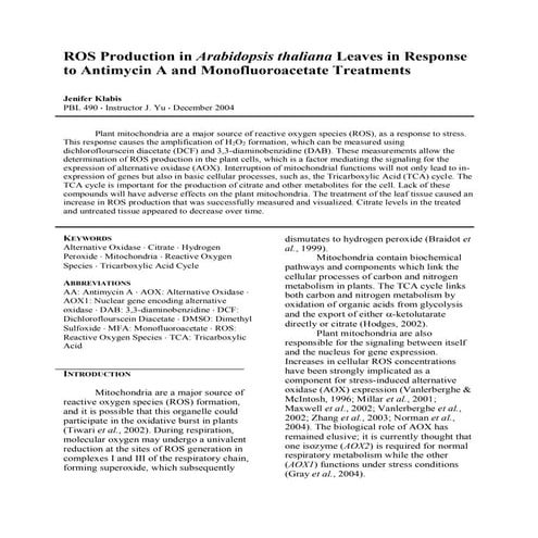 Intracellular Reactive Oxygen Species (ROS) Detection Assay Kit | TCI ...