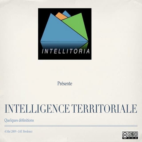Définitions Intelligence Territoriale