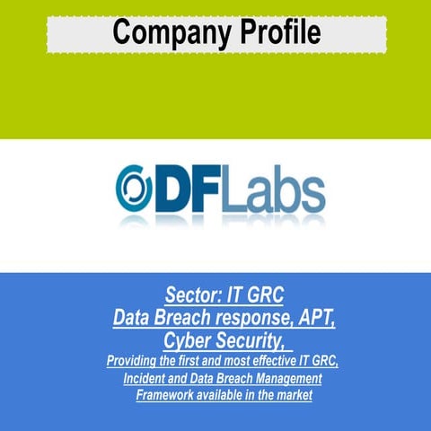 DFlabs corporate profile 01-2013