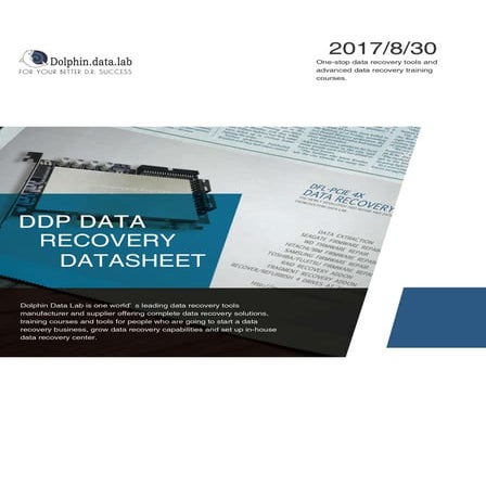 Dfl ddp data recovery datasheet | PDF