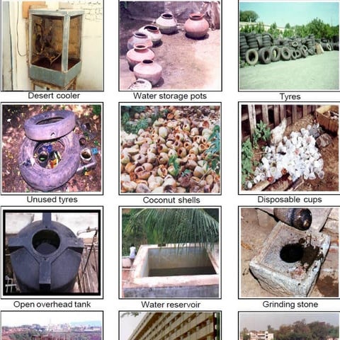 DF UG for examination purpose and  .pptx