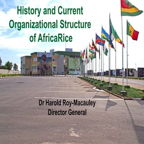 History and Current Organizational Structure of AfricaRice