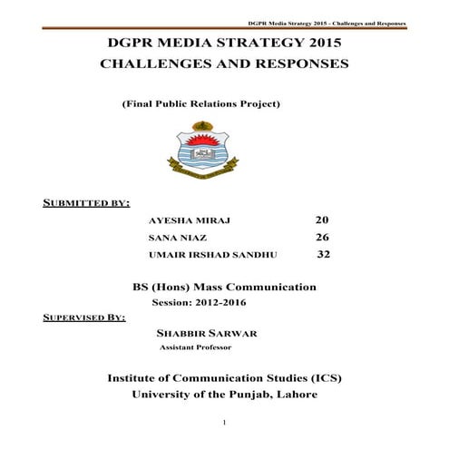 Dgpr media strategy analysis 2015  challenges and responses
